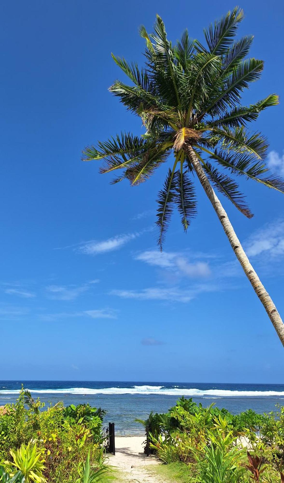 Bamboo Surf Beach San Isidro  ภายนอก รูปภาพ