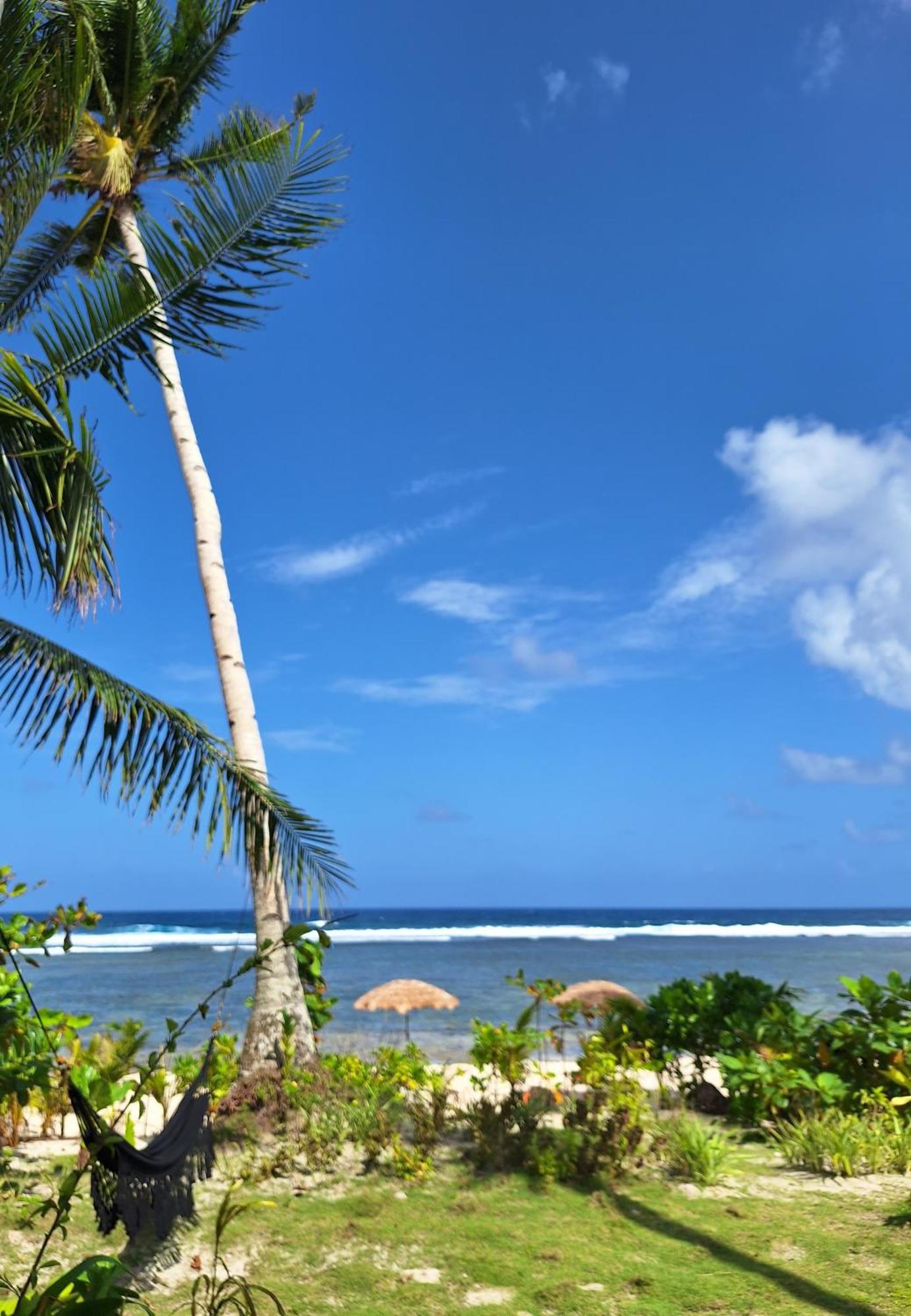 Bamboo Surf Beach San Isidro  ภายนอก รูปภาพ