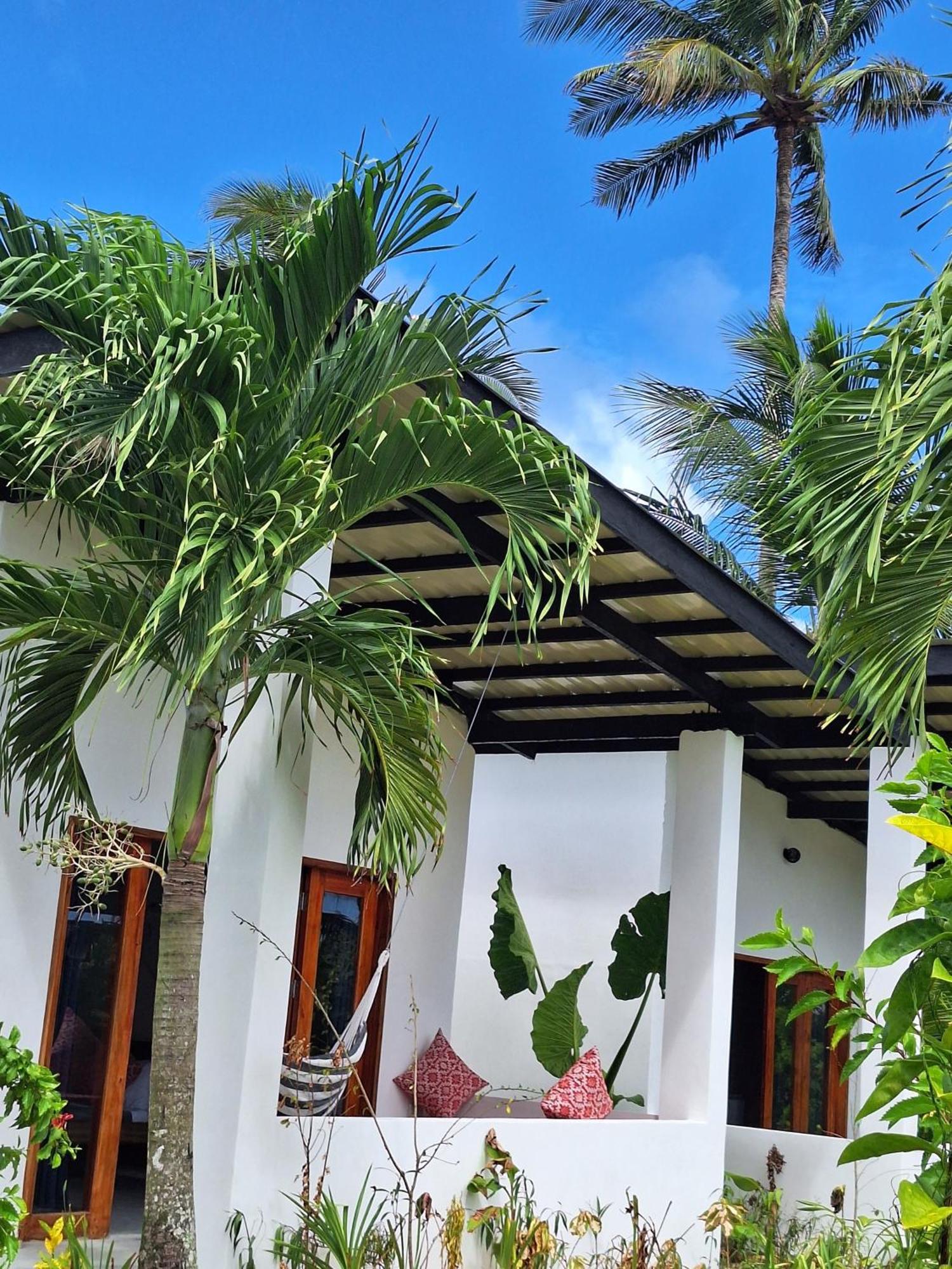 Bamboo Surf Beach San Isidro  ภายนอก รูปภาพ